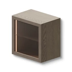 Display Cabinet Wall Unit 60x39x60 cm