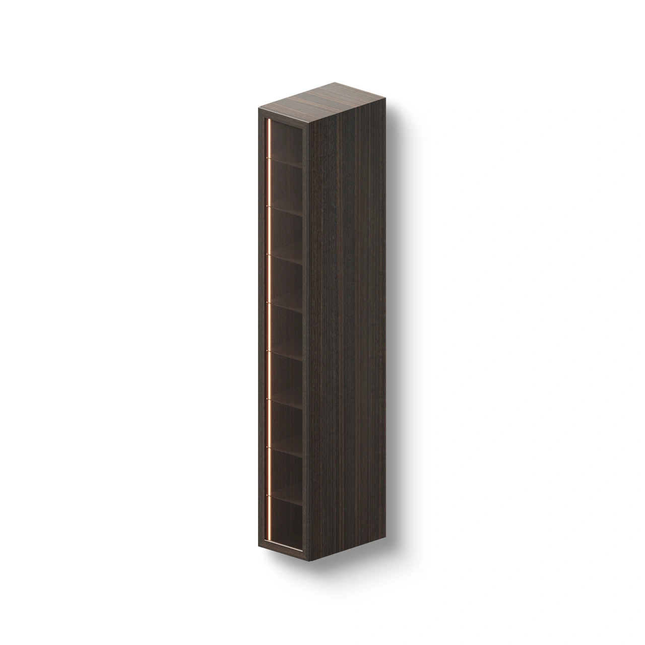 Display Cabinet Tall Unit 40x60x260 cm