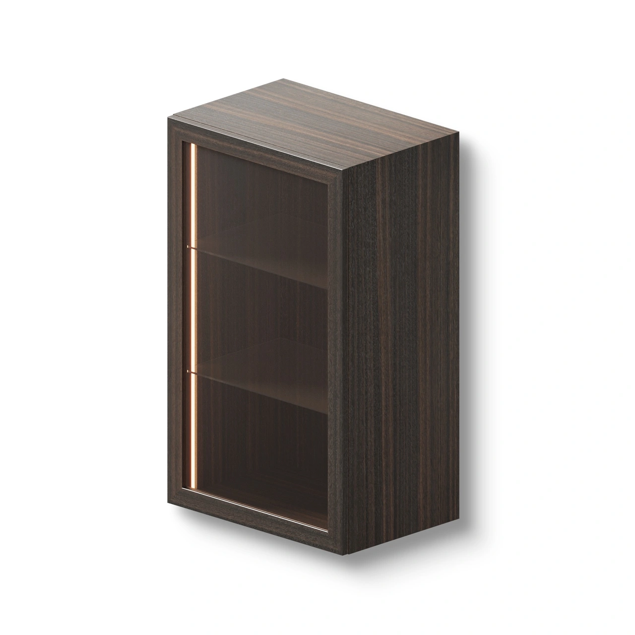 Display Cabinet Wall Unit 60x39x100 cm