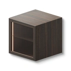 Display Wall Cabinet 60x60x60 cm