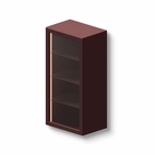 Display Cabinet Wall Unit 60x39x120 cm