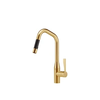 Sync Square Kitchen Mixer with Shower Brushed Brass
