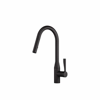 Sync Round Kitchen Mixer with Shower Matte Black