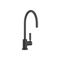 Tara Kitchen Mixer Matte Black