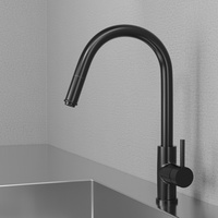 Kitchen Mixer Steel Access Shadow