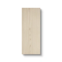 Kitchen Cabinet Door for Wall Unit 40x100