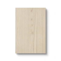 Kitchen Cabinet Door 40x60