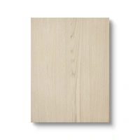 Kitchen Cabinet Door 60x80