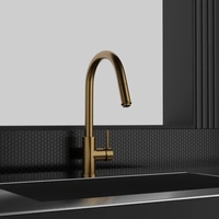 Kitchen Mixer Steel Access Sand D