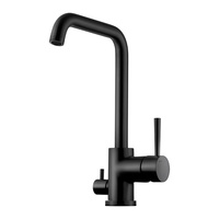 EVO984 Matte Black Kitchen Mixer