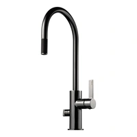 Kitchen Faucet ARM885 Black Chrome